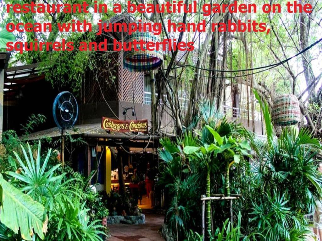 Двух-Комнатная Квартира В Кондоминимуме "Tropikal Garden" Pattaya Eksteriør billede